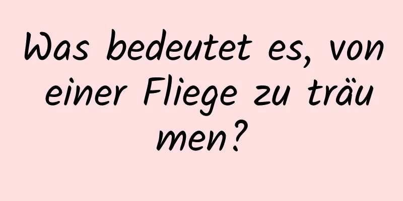 Was bedeutet es, von einer Fliege zu träumen?