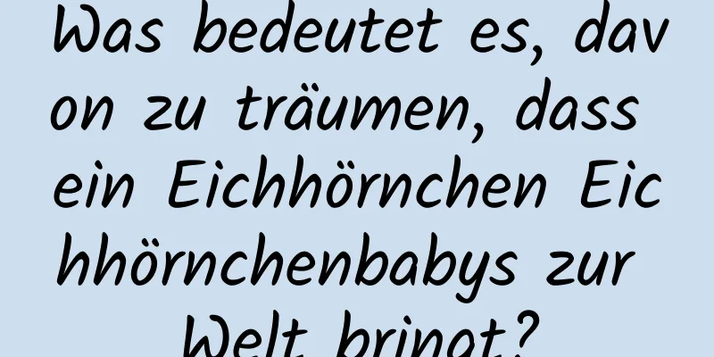 Was bedeutet es, davon zu träumen, dass ein Eichhörnchen Eichhörnchenbabys zur Welt bringt?