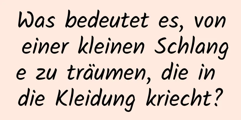 Was bedeutet es, von einer kleinen Schlange zu träumen, die in die Kleidung kriecht?