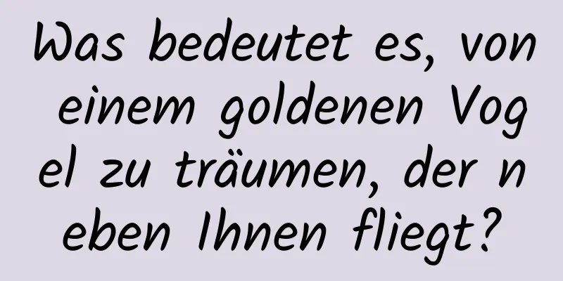 Was bedeutet es, von einem goldenen Vogel zu träumen, der neben Ihnen fliegt?