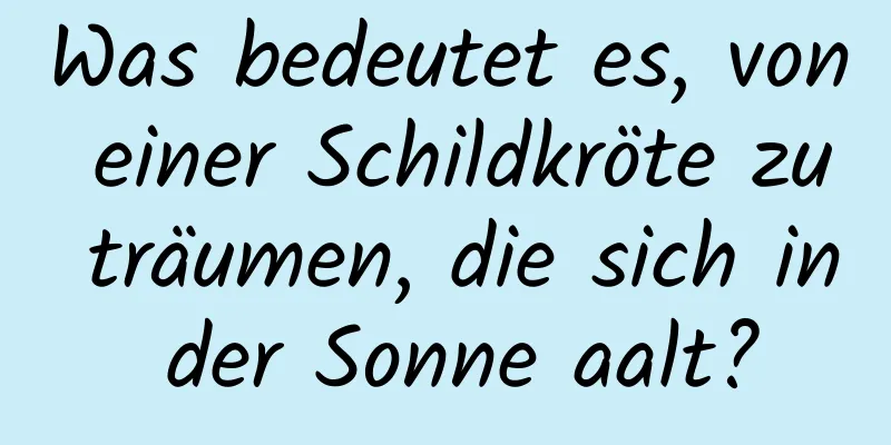 Was bedeutet es, von einer Schildkröte zu träumen, die sich in der Sonne aalt?