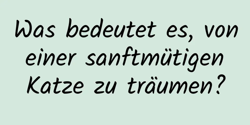 Was bedeutet es, von einer sanftmütigen Katze zu träumen?