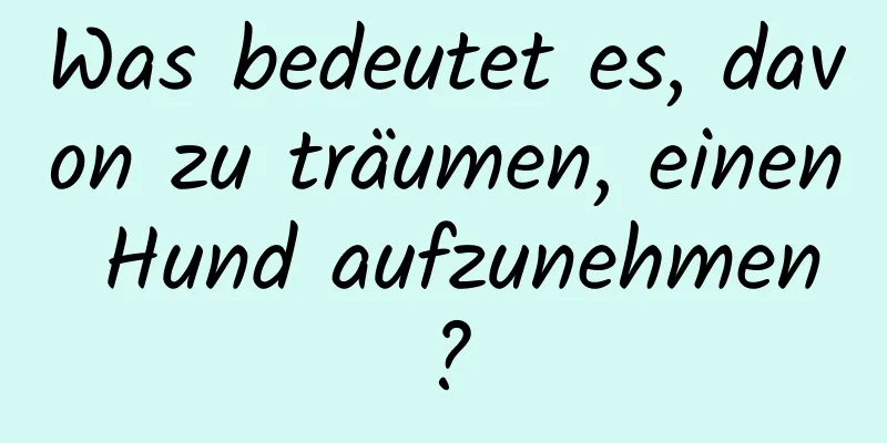 Was bedeutet es, davon zu träumen, einen Hund aufzunehmen?