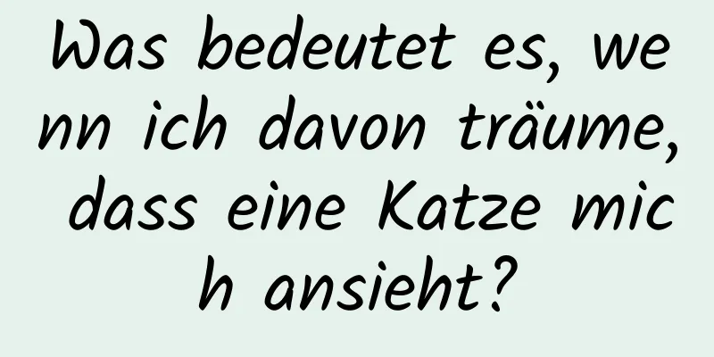 Was bedeutet es, wenn ich davon träume, dass eine Katze mich ansieht?