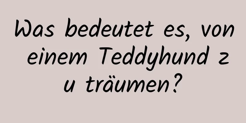 Was bedeutet es, von einem Teddyhund zu träumen?