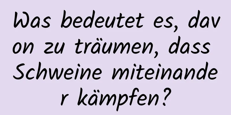 Was bedeutet es, davon zu träumen, dass Schweine miteinander kämpfen?