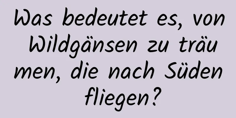 Was bedeutet es, von Wildgänsen zu träumen, die nach Süden fliegen?