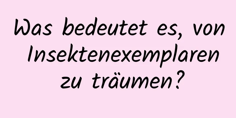 Was bedeutet es, von Insektenexemplaren zu träumen?