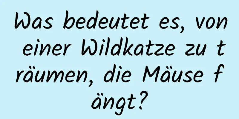 Was bedeutet es, von einer Wildkatze zu träumen, die Mäuse fängt?