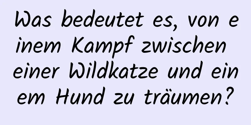 Was bedeutet es, von einem Kampf zwischen einer Wildkatze und einem Hund zu träumen?