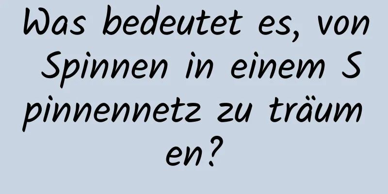 Was bedeutet es, von Spinnen in einem Spinnennetz zu träumen?