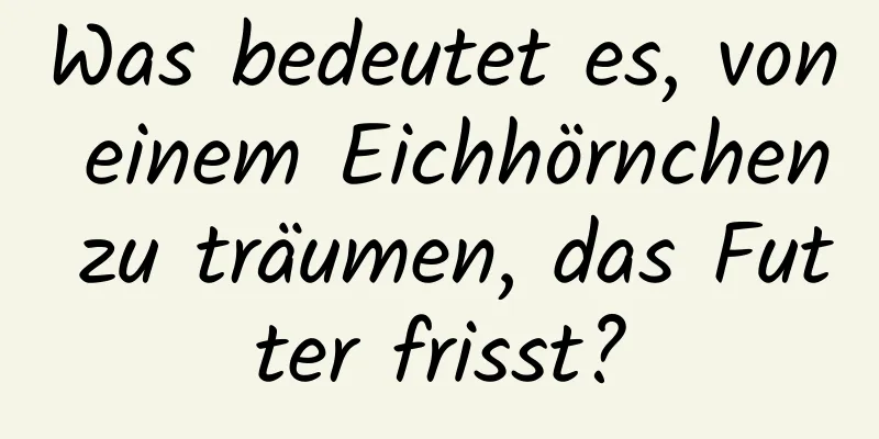 Was bedeutet es, von einem Eichhörnchen zu träumen, das Futter frisst?