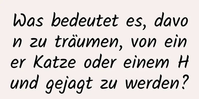 Was bedeutet es, davon zu träumen, von einer Katze oder einem Hund gejagt zu werden?