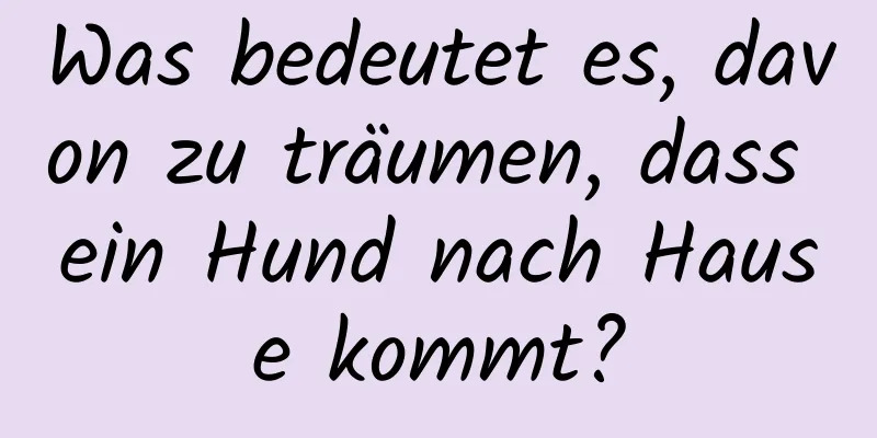 Was bedeutet es, davon zu träumen, dass ein Hund nach Hause kommt?