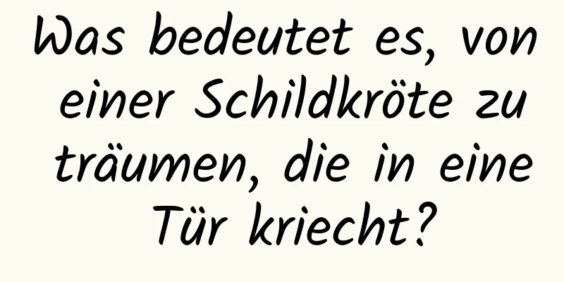 Was bedeutet es, von einer Schildkröte zu träumen, die in eine Tür kriecht?