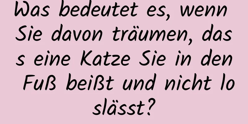 Was bedeutet es, wenn Sie davon träumen, dass eine Katze Sie in den Fuß beißt und nicht loslässt?