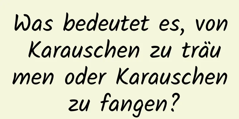 Was bedeutet es, von Karauschen zu träumen oder Karauschen zu fangen?