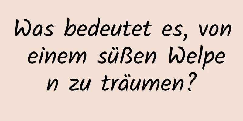 Was bedeutet es, von einem süßen Welpen zu träumen?