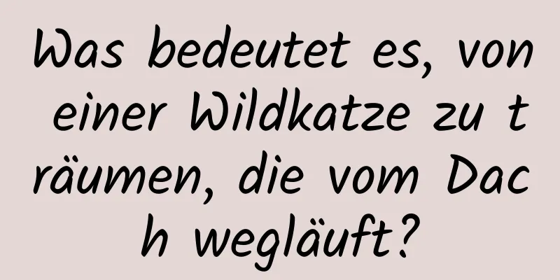 Was bedeutet es, von einer Wildkatze zu träumen, die vom Dach wegläuft?