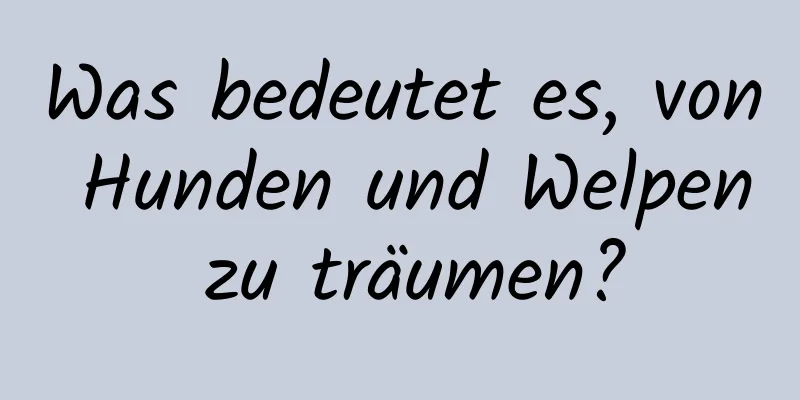 Was bedeutet es, von Hunden und Welpen zu träumen?