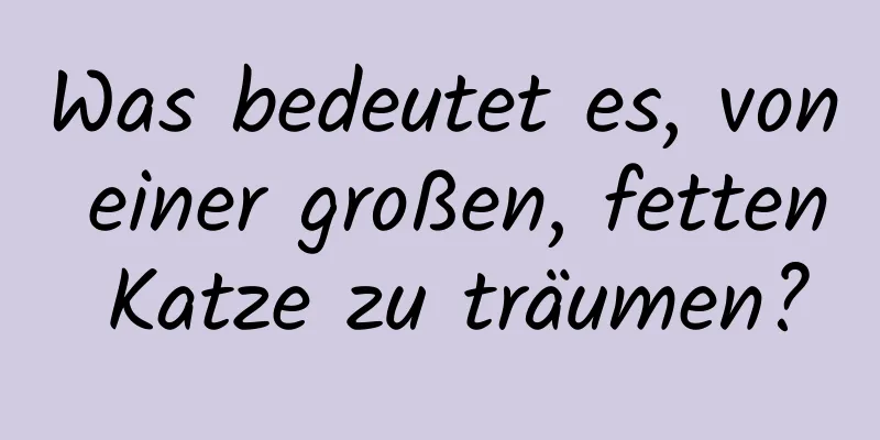 Was bedeutet es, von einer großen, fetten Katze zu träumen?