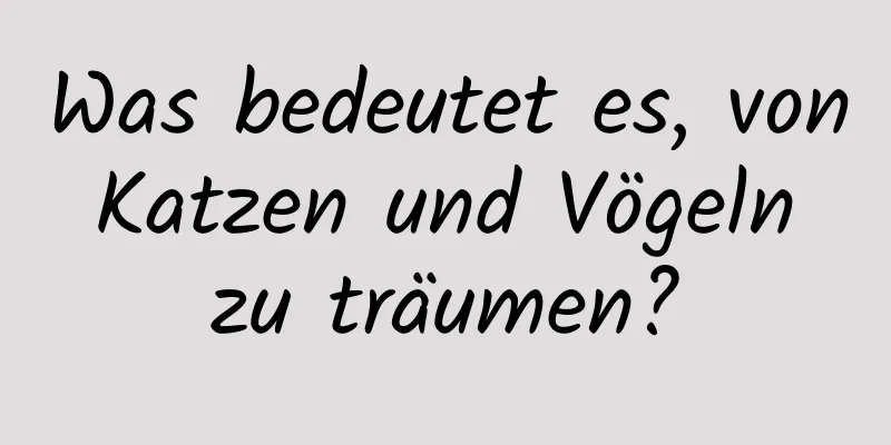 Was bedeutet es, von Katzen und Vögeln zu träumen?