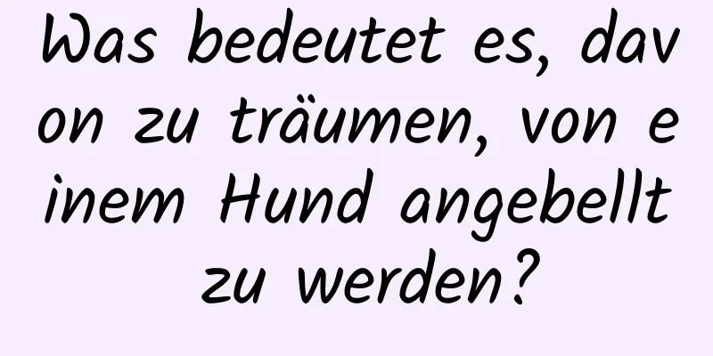 Was bedeutet es, davon zu träumen, von einem Hund angebellt zu werden?