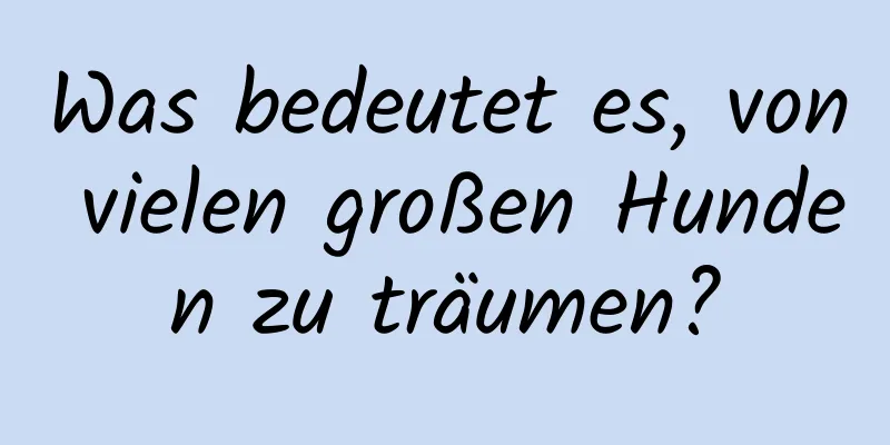 Was bedeutet es, von vielen großen Hunden zu träumen?