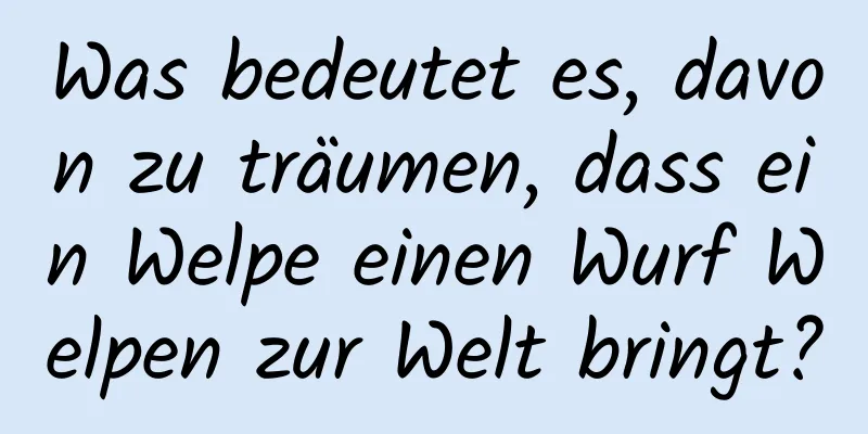 Was bedeutet es, davon zu träumen, dass ein Welpe einen Wurf Welpen zur Welt bringt?