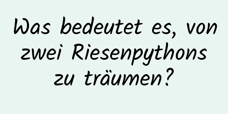 Was bedeutet es, von zwei Riesenpythons zu träumen?