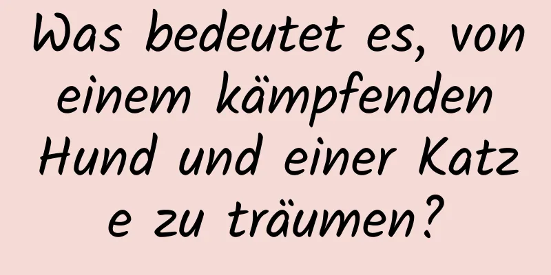 Was bedeutet es, von einem kämpfenden Hund und einer Katze zu träumen?