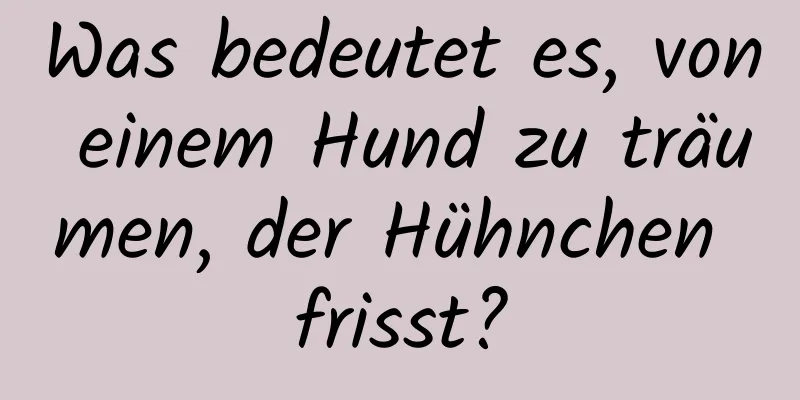 Was bedeutet es, von einem Hund zu träumen, der Hühnchen frisst?