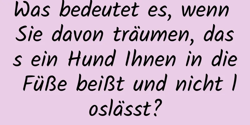 Was bedeutet es, wenn Sie davon träumen, dass ein Hund Ihnen in die Füße beißt und nicht loslässt?