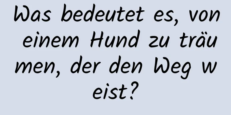 Was bedeutet es, von einem Hund zu träumen, der den Weg weist?