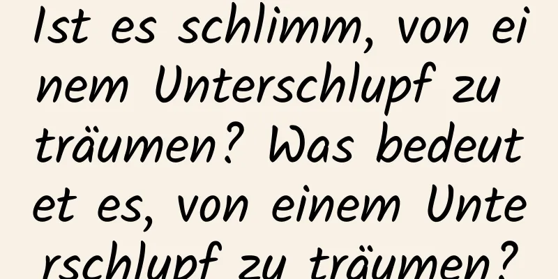 Ist es schlimm, von einem Unterschlupf zu träumen? Was bedeutet es, von einem Unterschlupf zu träumen?