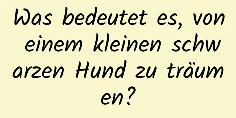 Was bedeutet es, von einem kleinen schwarzen Hund zu träumen?