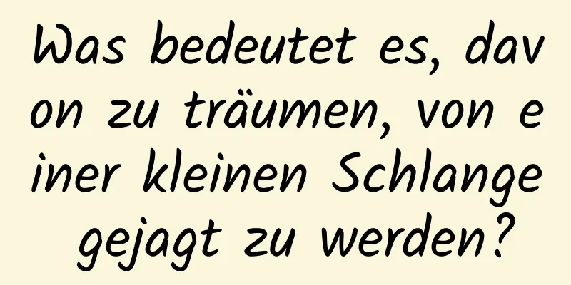 Was bedeutet es, davon zu träumen, von einer kleinen Schlange gejagt zu werden?