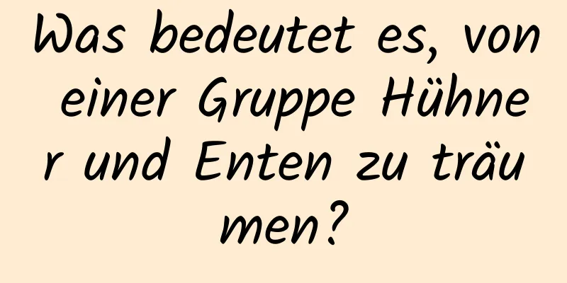 Was bedeutet es, von einer Gruppe Hühner und Enten zu träumen?