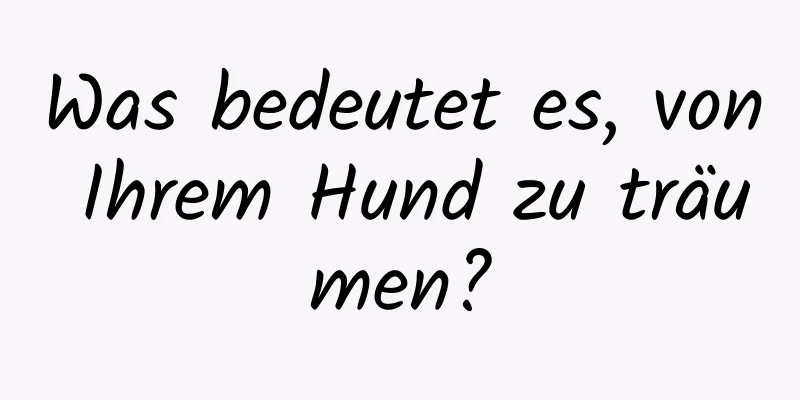 Was bedeutet es, von Ihrem Hund zu träumen?