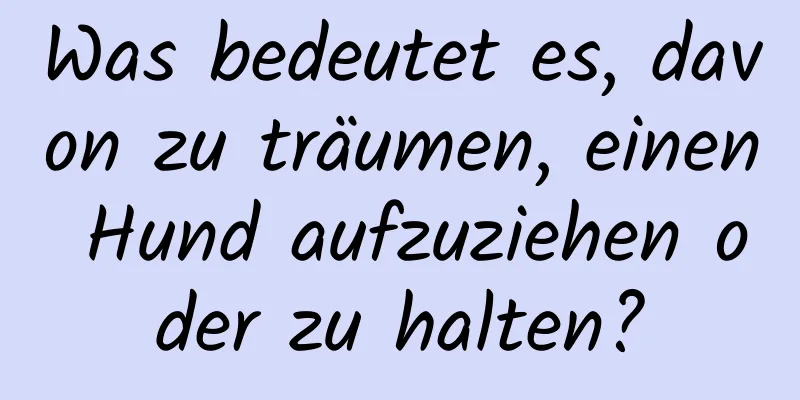 Was bedeutet es, davon zu träumen, einen Hund aufzuziehen oder zu halten?