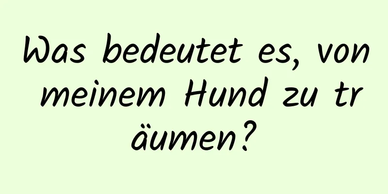 Was bedeutet es, von meinem Hund zu träumen?