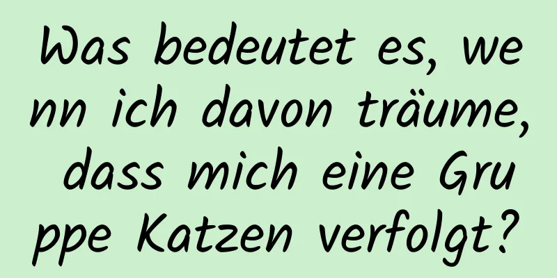 Was bedeutet es, wenn ich davon träume, dass mich eine Gruppe Katzen verfolgt?