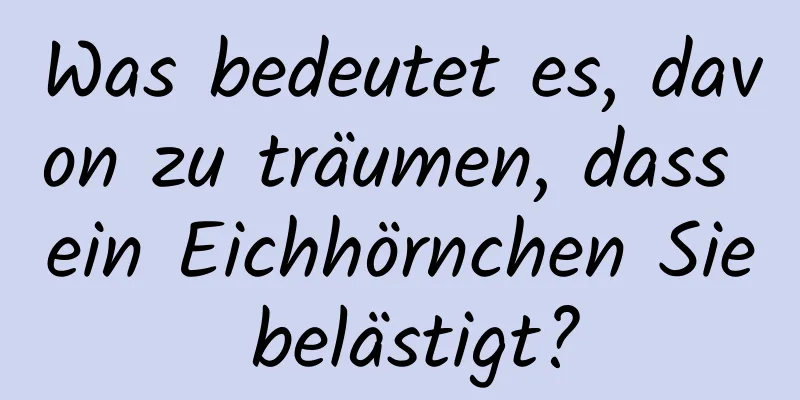 Was bedeutet es, davon zu träumen, dass ein Eichhörnchen Sie belästigt?