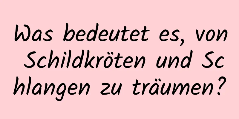 Was bedeutet es, von Schildkröten und Schlangen zu träumen?