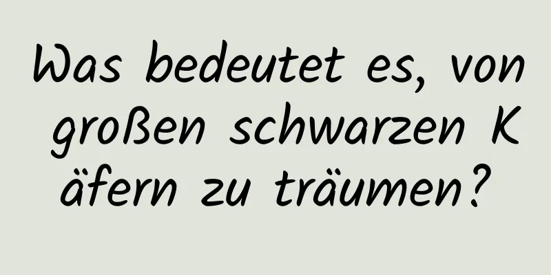 Was bedeutet es, von großen schwarzen Käfern zu träumen?