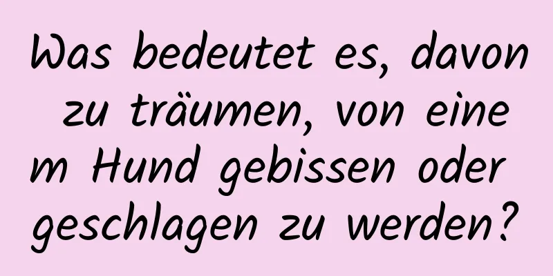 Was bedeutet es, davon zu träumen, von einem Hund gebissen oder geschlagen zu werden?