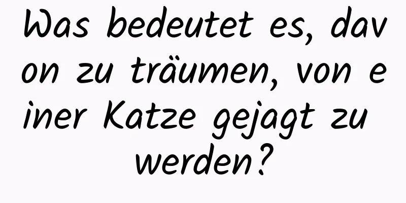 Was bedeutet es, davon zu träumen, von einer Katze gejagt zu werden?