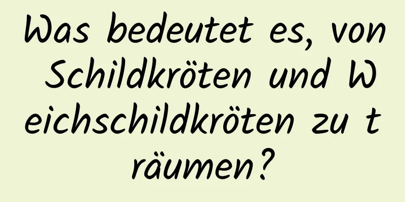 Was bedeutet es, von Schildkröten und Weichschildkröten zu träumen?