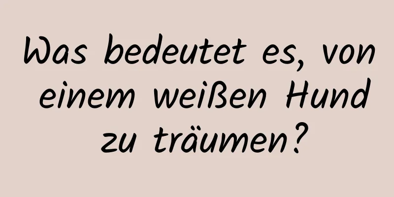 Was bedeutet es, von einem weißen Hund zu träumen?