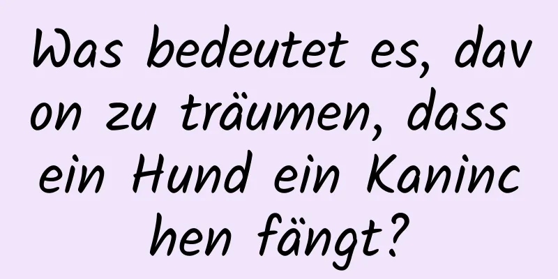 Was bedeutet es, davon zu träumen, dass ein Hund ein Kaninchen fängt?